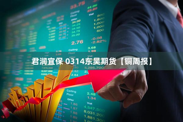 君润宜保 0314东吴期货【铜周报】