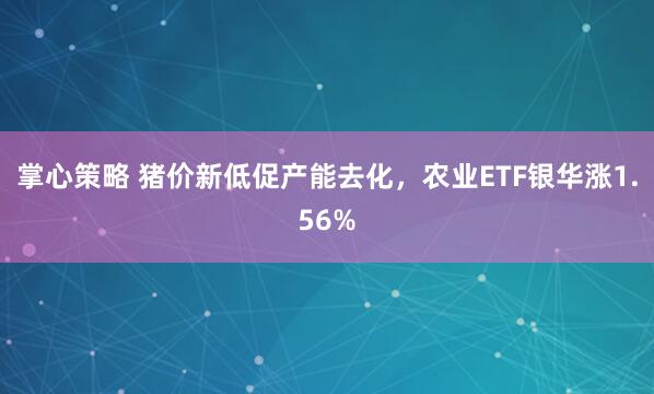 掌心策略 猪价新低促产能去化，农业ETF银华涨1.56%