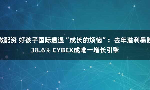 微配资 好孩子国际遭遇“成长的烦恼”：去年溢利暴跌38.6% CYBEX成唯一增长引擎
