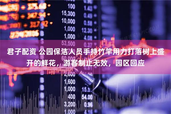 君子配资 公园保洁人员手持竹竿用力打落树上盛开的鲜花，游客制止无效，园区回应