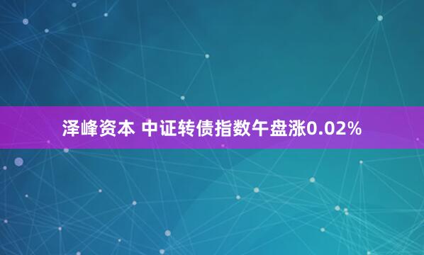 泽峰资本 中证转债指数午盘涨0.02%