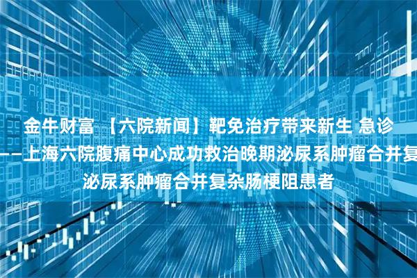 金牛财富 【六院新闻】靶免治疗带来新生 急诊攻坚破解危局——上海六院腹痛中心成功救治晚期泌尿系肿瘤合并复杂肠梗阻患者