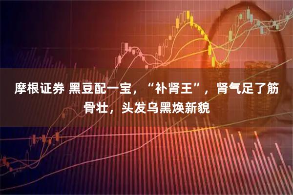 摩根证券 黑豆配一宝，“补肾王”，肾气足了筋骨壮，头发乌黑焕新貌