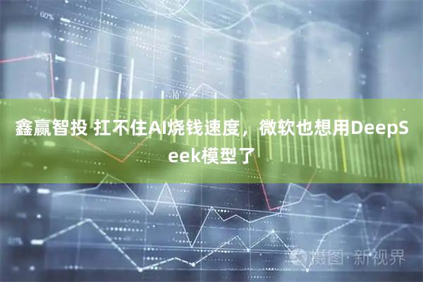 鑫赢智投 扛不住AI烧钱速度，微软也想用DeepSeek模型了