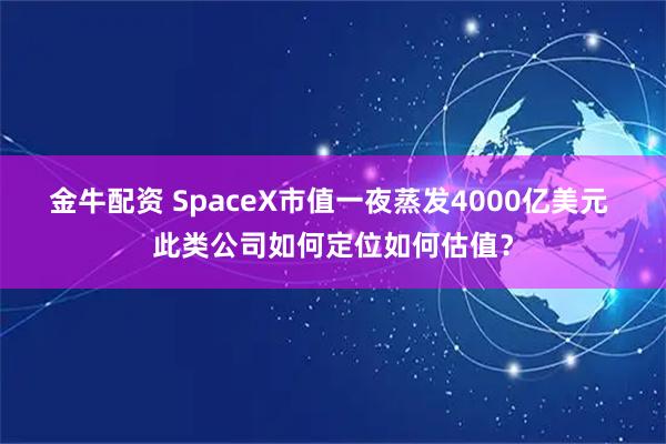 金牛配资 SpaceX市值一夜蒸发4000亿美元 此类公司如何定位如何估值？