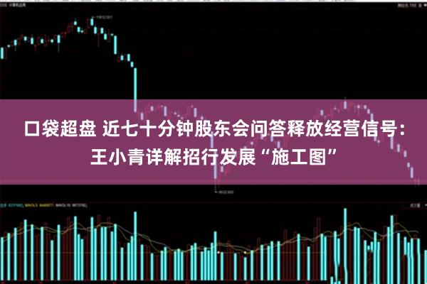 口袋超盘 近七十分钟股东会问答释放经营信号：王小青详解招行发展“施工图”