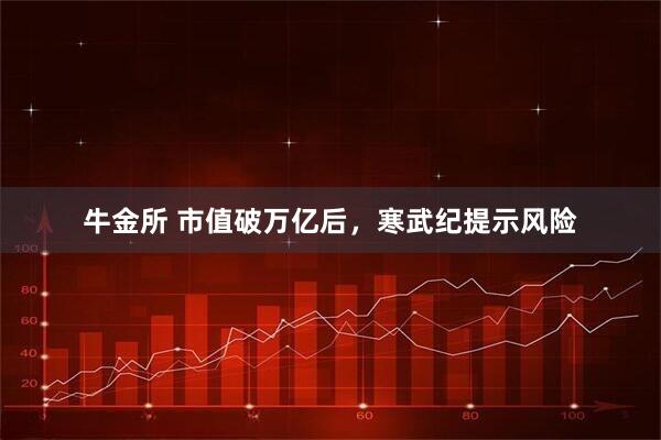 牛金所 市值破万亿后,寒武纪提示风险