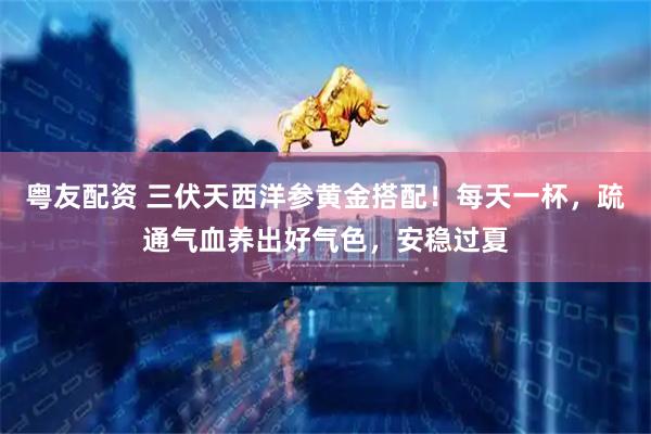 粤友配资 三伏天西洋参黄金搭配！每天一杯，疏通气血养出好气色，安稳过夏