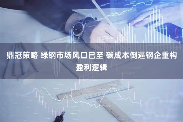 鼎冠策略 绿钢市场风口已至 碳成本倒逼钢企重构盈利逻辑