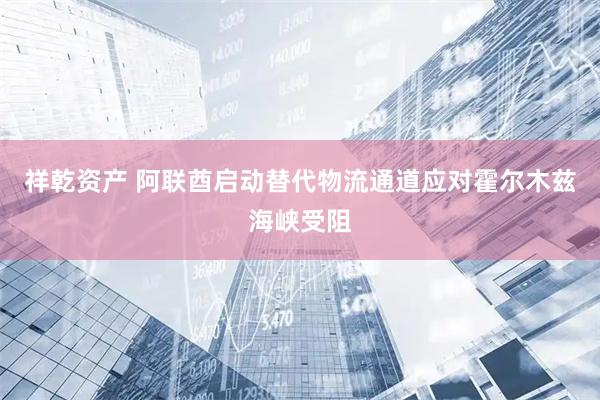 祥乾资产 阿联酋启动替代物流通道应对霍尔木兹海峡受阻